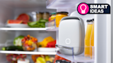 For less than the price of a weekly shop, this smart home gadget could double your food's shelf life, reduce odor and save energy