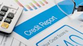 6 Surprising People or Companies That Can Check Your Credit Score