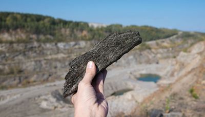 Can biomaterials help address graphite supply gaps and support a green transition?