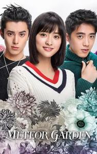 Meteor Garden