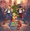 Double Dragon Gaiden: Rise of the Dragons