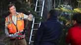 How wind study at Pismo Beach butterfly grove could help save monarchs from extinction