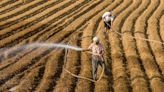 China’s record heat and heavy rain raise food security concerns