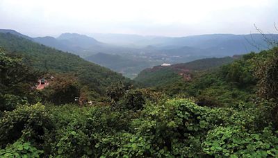 Proposed mining at Devadari Forest Area: State Government halts handing over forest lands to KIOCL - Star of Mysore