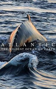 Atlantic: The Wildest Ocean on Earth