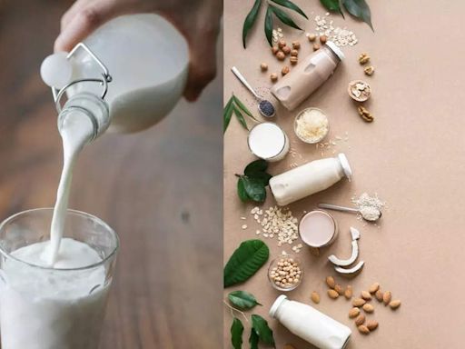 8 Ways to boost the efficacy of regular milk | - Times of India