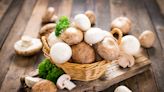 超級食品蘑菇 研究發現還有一大好處