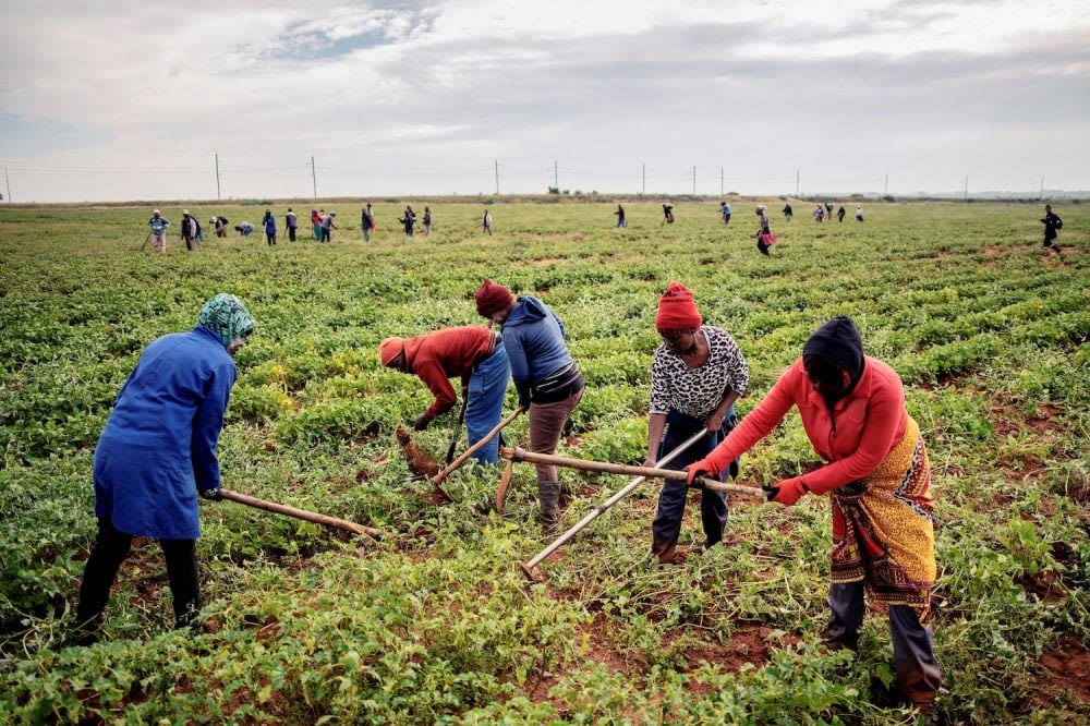 Why Land Reform Matters in South Africa’s Election