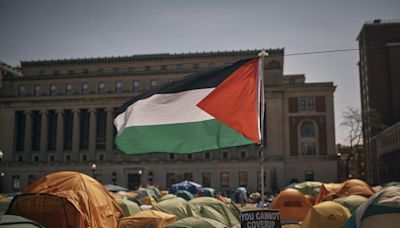 ‘Pro-Palestine’ protests really ARE seeking a ‘final solution’