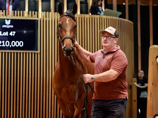 'She has a great pedigree and physique, while I loved her breeze' - €210,000 Too Darn Hot filly stands out at Arqana