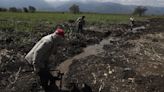 Las invasiones de tierras, un problema viejo que se multiplica en Colombia