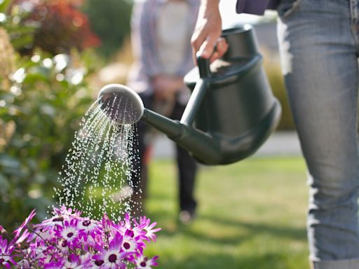 Exact time to water your plants - & four common mistakes that will kill them