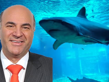 "Bashing The Rich Is Not What America's About," Kevin O'Leary Says of Increasing Taxes For The Wealthy