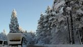 Pronostican nieve para el sábado y domingo en Laguna Mountain, a 1 hora de San Ysidro