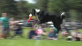 32nd annual Zamzows Frisbee Fest raises funds for Lake Lowell Animal Rescue