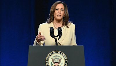 If Biden drops out, who could replace him? Harris does better against Trump in polls