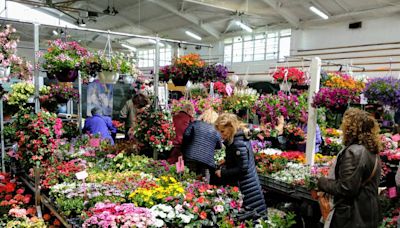 La Feria de Primavera de Biescas, un escaparate de miel y flores