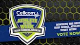 Two top softball players, a baseball slugger and track standout: Vote for Cellcom Press-Gazette high school athlete of the week