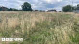 Anger at Erewash council's 'scruffy' new mowing regime