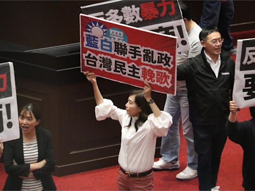 林宜瑾轟藍白舉手表決「荒謬」 喊話：賴政府上任國會也要重生
