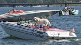 Summer is near and over 100 boaters raise money to help senior and disabled with meals