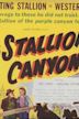 Stallion Canyon