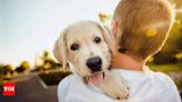 Zodiac signs that bond over their love for animals - Times of India