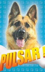 Pulsar