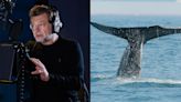 ‘Blue Whales: Return of the Giants’ Trailer Gives an In-Depth Look at the World’s Biggest Animals — With Help From Andy Serkis...