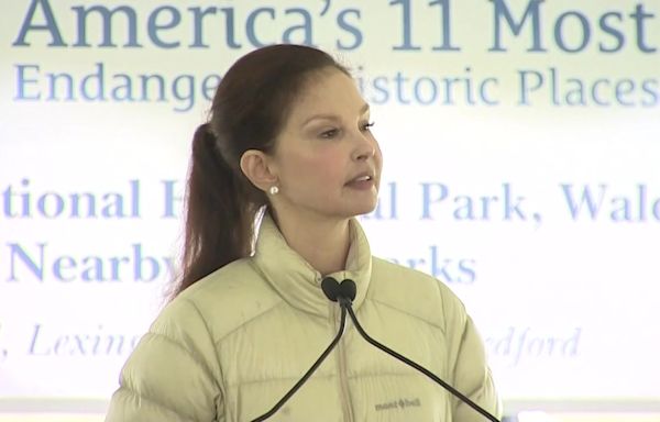 Actress Ashley Judd speaks against expansion of Hanscom Field in Concord - Boston News, Weather, Sports | WHDH 7News