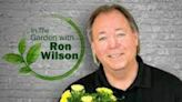 Plants of the Week - Plants for Mom - May 11th 2024 | 55KRC | Ron Wilson