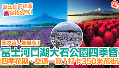 【河口湖景點2024】富士河口湖大石公園四季皆美！四季花期、交通一覽！打卡350米花街道！ | HolidaySmart 假期日常