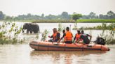 Assam Flood: 131 wild animals dead, 97 rescued in Kaziranga National Park