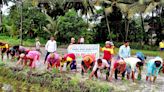 Mahila Mandala ushers in traditional paddy shoot transplantation in Kotathattu