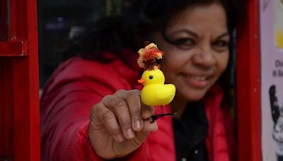 Por qué se usan patitos en la cabeza y cuánto cuestan