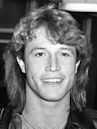 Andy Gibb