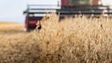 Conab: Brasil deve produzir 299,27 milhões de toneladas de grãos | Agro Estadão
