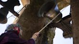 Church bells speak again in Spain thanks to effort to recover the lost ‘language’ of ringing by hand