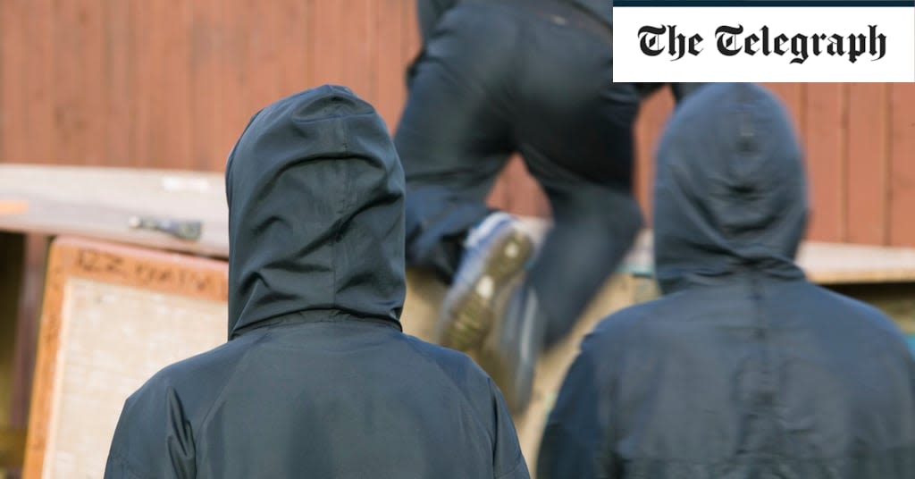 Government trials offer gang members mentoring in return for giving up crime