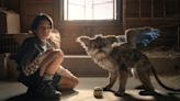 Chupa Cast: Who Plays Who In Netflix's New Family Creature Feature