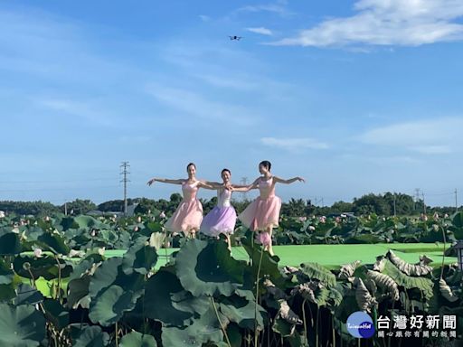 芭蕾舞蓮花 臺南400農漁地景劇場白河夢幻登場 - 理財周刊