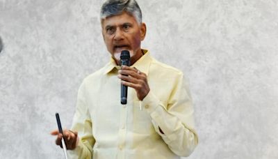 People voted for development and not for vindictive politics, says Andhra Pradesh Chief Minister