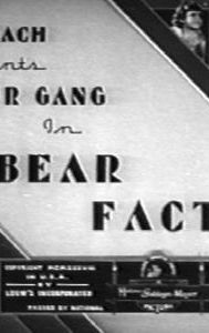 Bear Facts