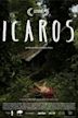 Ícaros