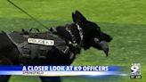 K-9 competition looks to highlight local law enforcement's K-9 teams