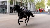 Two horses in a ‘serious condition’ after running loose in central London, minister says | CNN