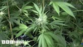 Call for Manx pharmacies to apply to dispense medicinal cannabis
