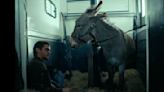 ‘EO’ Trailer: Jerzy Skolimowski’s Cannes Winner Is an Ode to Donkeys