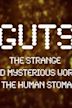 Guts: The Strange and Mysterious World of the Human Stomach