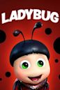 The Ladybug